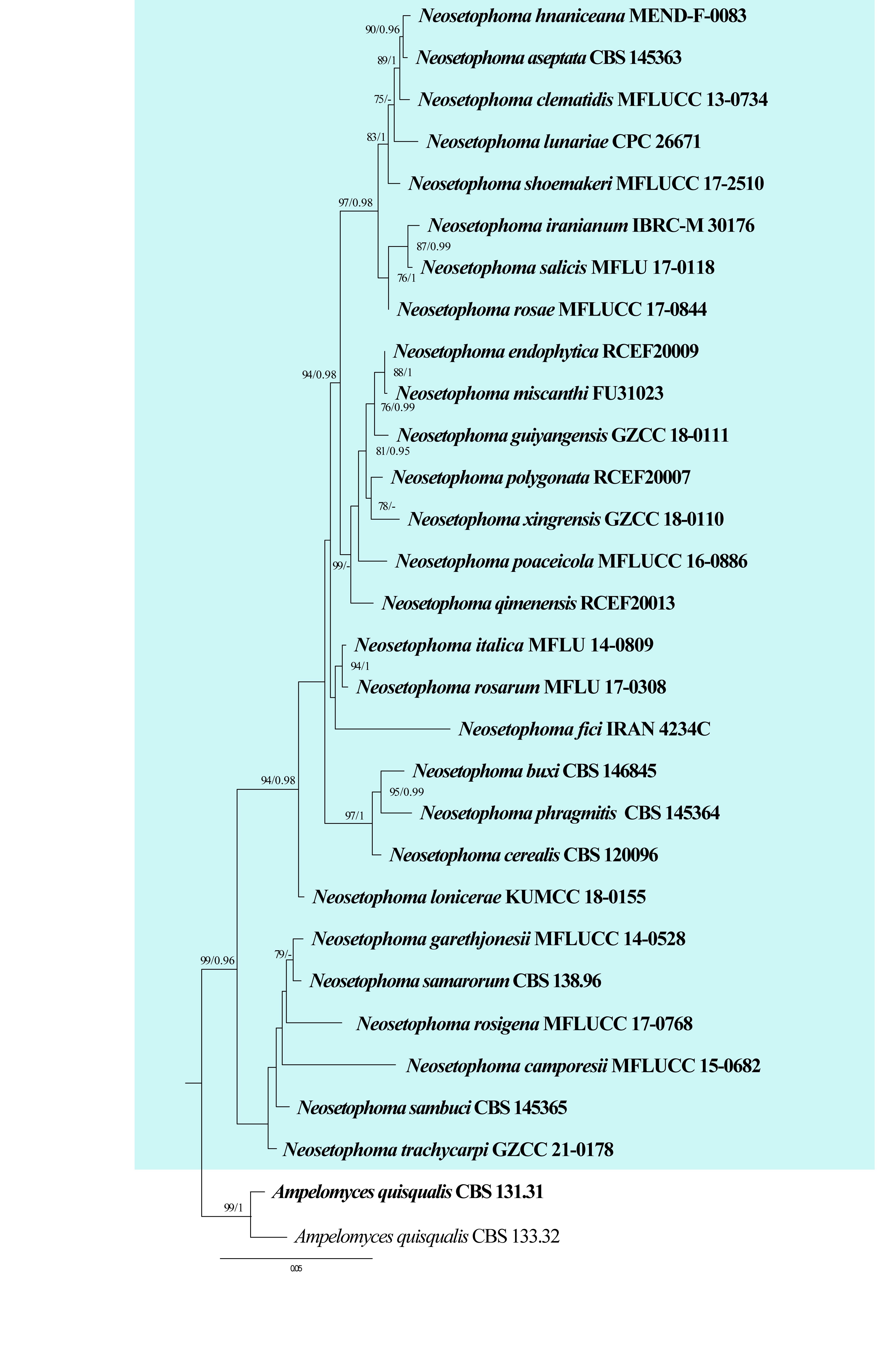 Figure 22